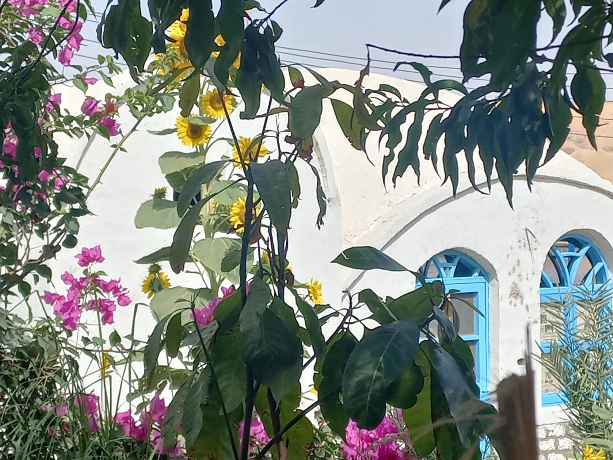 Nubian Lotus Bed and Breakfast Aswan Exteriör bild