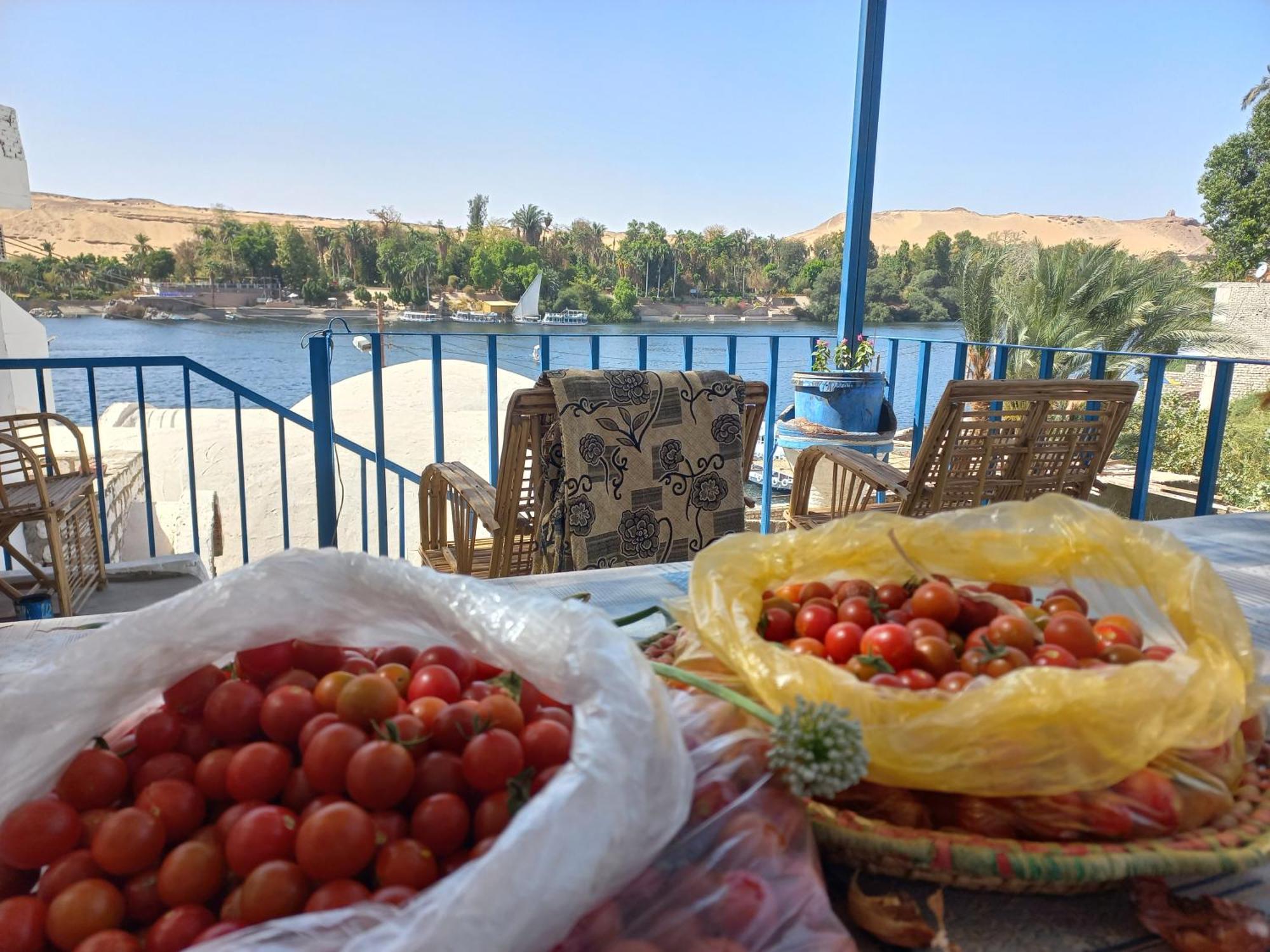 Nubian Lotus Bed and Breakfast Aswan Exteriör bild